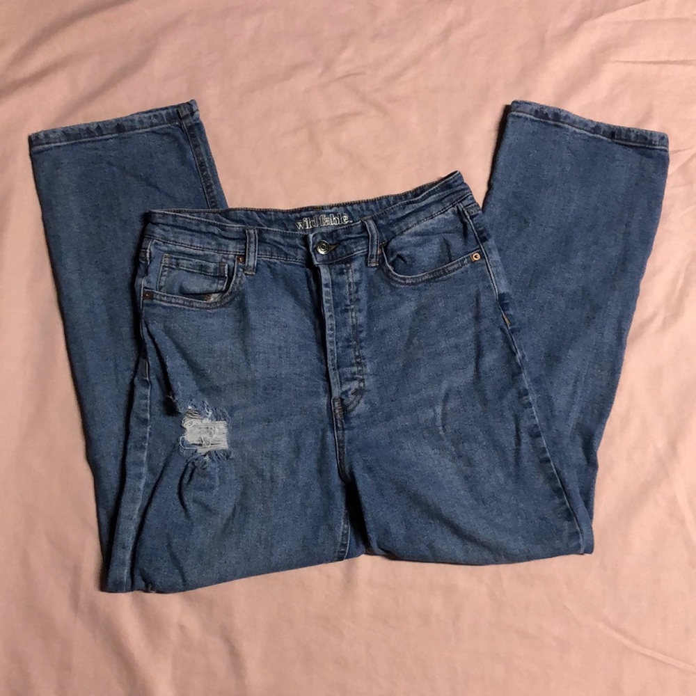 Wild Fable Jeans